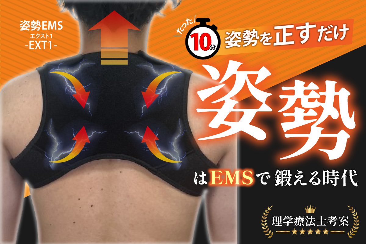 Helux Store：姿勢を鍛える新世代EMS – Helux store