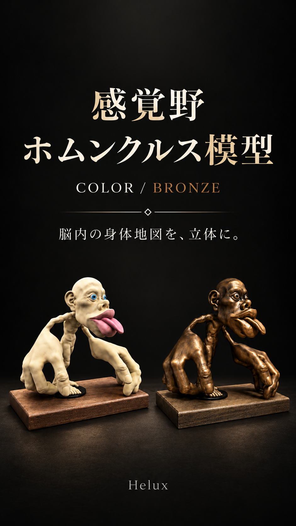 感覚野ホムンクルス スマートフォン用メイン画像